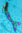Limited Edition Twilight Shimmer Mermaid Tail (mit Monoflosse)